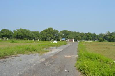Project Image of 1405.98 - 3563.93 Sq.ft Residential Plot Plot for buy in Truliaa Sachin Avenue