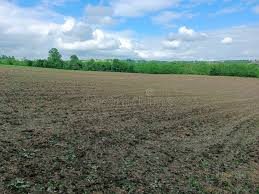 Project Image of 1000.0 - 1200.0 Sq.ft Agricultural Land Agricultural Land for buy in Gunpreet Test 2