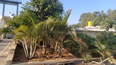 Project Image of 660.0 - 1605.0 Sq.ft 1 BHK Apartment for buy in SR Suvarna Residency
