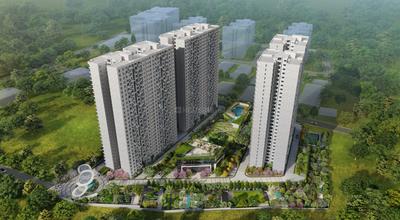 Mana Dale Elevation 2