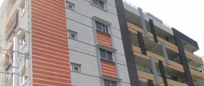 SR Gold Elevation 2