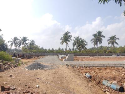 Project Images
