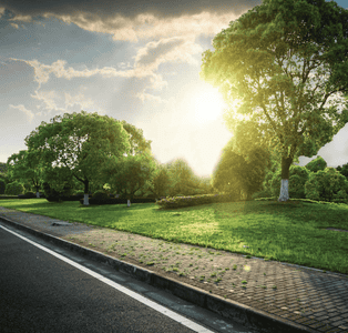 Project Image of 523.0 - 9670.0 Sq.ft Residential Plot Plot for buy in S2 Butterfly Gardens