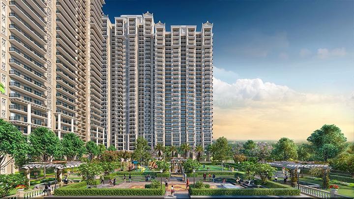 Prateek Grand Begonia - Image 3