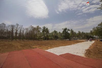 Project Image of 1400.0 - 2693.0 Sq.ft Residential Plot Plot for buy in Golden Ira Plots