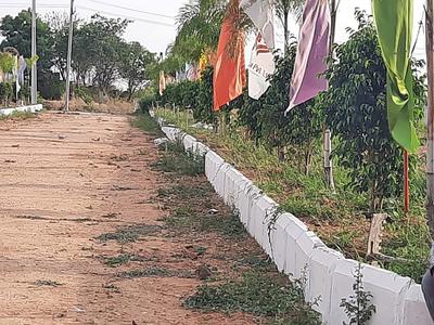Project Image of 1530.0 - 3123.0 Sq.ft Residential Plot Plot for buy in Aduri RK Ryan