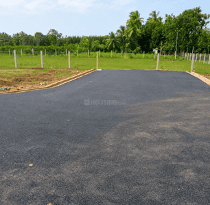 Project Images