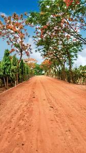 Veda Farm Plot 2