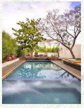 Gallery Cover Pic of Phoenix Luxury Park 2 Revised