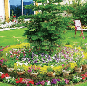 Project Image of 311.4 - 402.46 Sq.ft 1 BHK Apartment for buy in Laxmi Aangan Kaveri