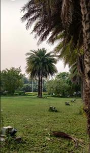Project Image of 1292.0 - 2153.0 Sq.ft Residential Plot Plot for buy in New Modern Navyug Phase 4 Nirjhar