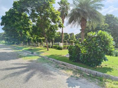 Project Image of 900.0 - 9000.0 Sq.ft Residential Plot Plot for buy in AMG Palm Garden