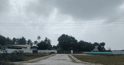 Project Images