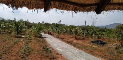 Project Image of 2700.02 - 14399.85 Sq.ft Residential Plot Plot for buy in Charan Farmlands