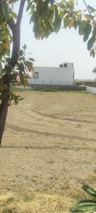 Project Image of 900.0 - 2700.0 Sq.ft Residential Plot Plot for buy in Airport City 35C