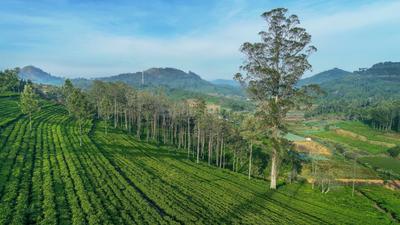 Project Image of 1000.0 - 10018.0 Sq.ft Residential Plot Plot for buy in ABI Royal Crown Vesta