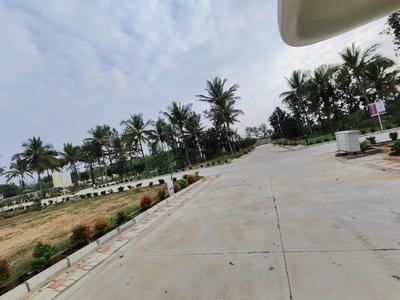 Earthen Forest In My Backyard Internal Roads & Footpaths 1