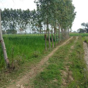 Project Image of 450.0 - 10350.0 Sq.ft Residential Plot Plot for buy in Shubham Jewar City