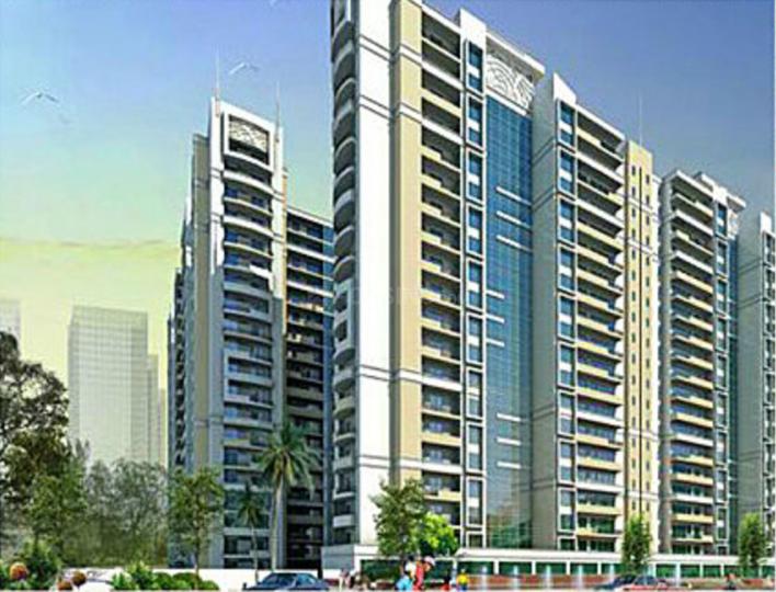 Ajnara Daffodil - Image 3