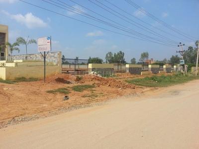 Oceanus Meadows Elevation 1