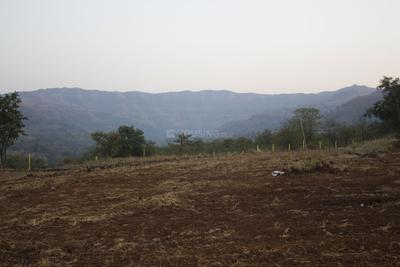 Project Image of 2353.0 - 18830.0 Sq.ft Residential Plot Plot for buy in Elysian Phuloraa