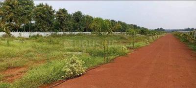 Project Image of 2700.0 - 9000.0 Sq.ft Residential Plot Plot for buy in Viraaditya Farm Lands