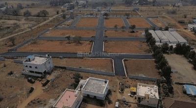 Project Images