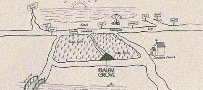 Project Image of 3900.0 - 4000.0 Sq.ft 3 BHK Villa for buy in Conscient Calem Grove