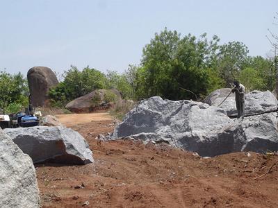 Suchirindia Koral Reef Main Other 1