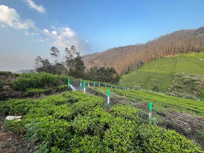 Project Image of 1000.0 - 12589.0 Sq.ft Residential Plot Plot for buy in Green Farm Estates