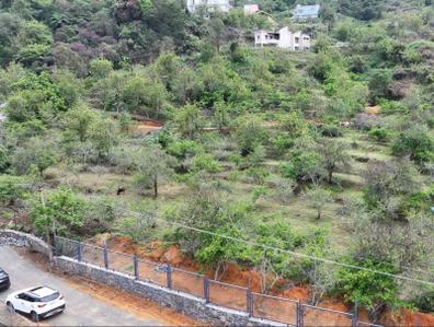 Project Image of 6838.0 - 20097.0 Sq.ft Residential Plot Plot for buy in Kali Crown Boulevard