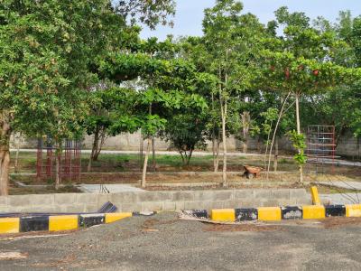 Project Image of 629.0 - 4014.0 Sq.ft Residential Plot Plot for buy in Abinaya Docla