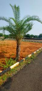 Project Image of 437.0 - 2695.0 Sq.ft Residential Plot Plot for buy in Kenaan Secretariat Nagar Extn