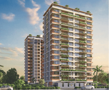Strut Arcadia 77 Elevation 1