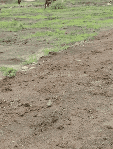 Project Image of 610.1 - 2177.54 Sq.ft Residential Plot Plot for buy in Sampat Green Extension