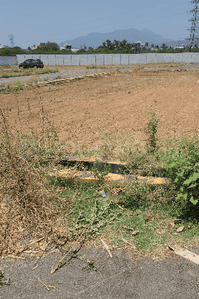 Project Images