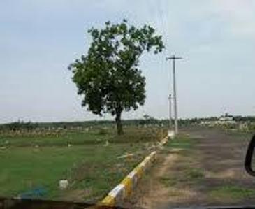 Project Image of 725.0 - 4000.0 Sq.ft Residential Plot Plot for buy in Miracle Gated Community Plots