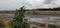 Siyora Spring Fields Internal Roads & Footpaths 1
