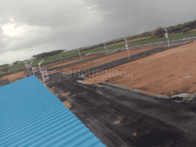 Project Images
