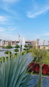 Project Image of 1600.0 - 6180.0 Sq.ft Residential Plot Plot for buy in Avila Meadows