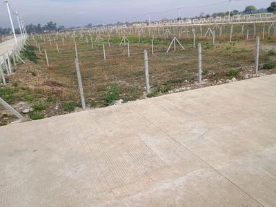 Project Image of 5505.03 - 11455.53 Sq.ft Residential Plot Plot for buy in Greenshire Springs