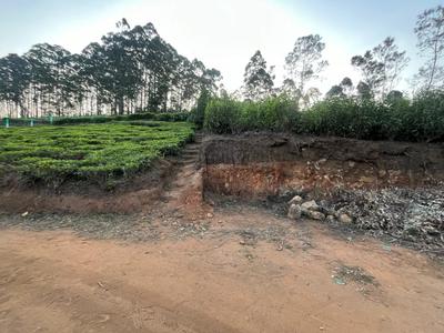 Project Image of 1000.0 - 12589.0 Sq.ft Residential Plot Plot for buy in Green Farm Estates