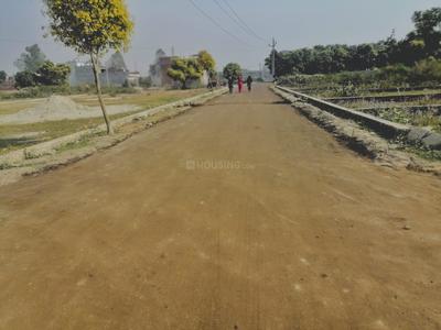Project Image of 800.0 - 3000.0 Sq.ft Residential Plot Plot for buy in Arsh City Property