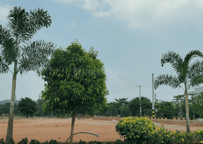 Project Image of 1388.54 - 5661.82 Sq.ft Residential Plot Plot for buy in Royal Rise County