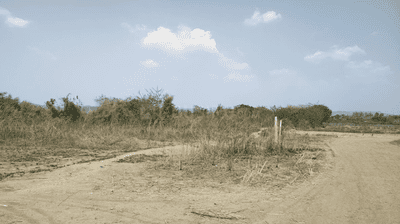 Project Image of 1000.0 - 10000.0 Sq.ft Residential Plot Plot for buy in Avani City Plots In Dronagiri