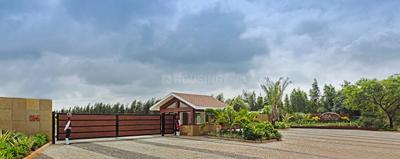 Project Image of 1200.0 - 5400.0 Sq.ft Residential Plot Plot for buy in SPA Eco City