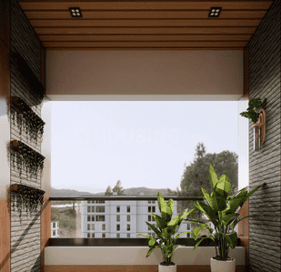 Project Images
