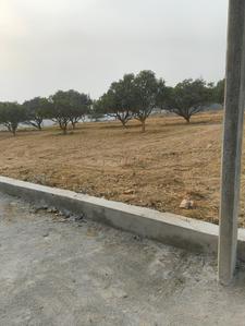 Project Image of 1000.0 - 2500.0 Sq.ft Residential Plot Plot for buy in Royal Raitha City