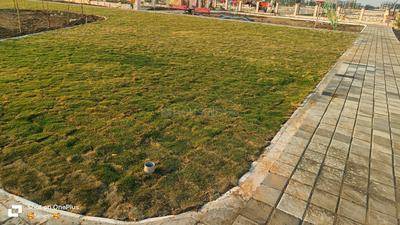 Mauli Town 30 Landscape Garden and Tree Planting 4