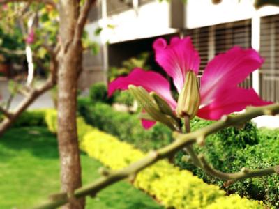 Project Image of 373.83 - 616.66 Sq.ft 1 BHK Apartment for buy in Grow Riverside Greens